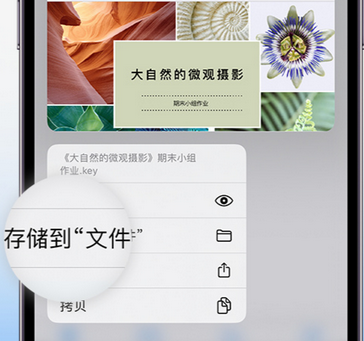 威远apple维修中心分享iPhone文件应用中存储和找到下载文件