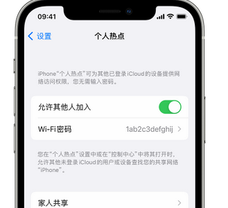 威远apple服务站点分享iPhone上个人热点丢失了怎么办