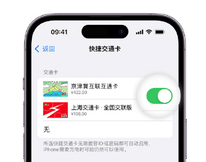 威远apple维修点分享iPhone上更换Apple Pay快捷交通卡手绘卡面 