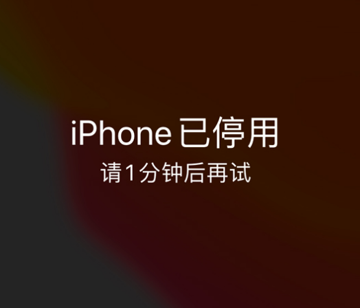 威远苹果手机维修分享:iPhone 显示“不可用”或“已停用”怎么办？还能保留数据吗？ 