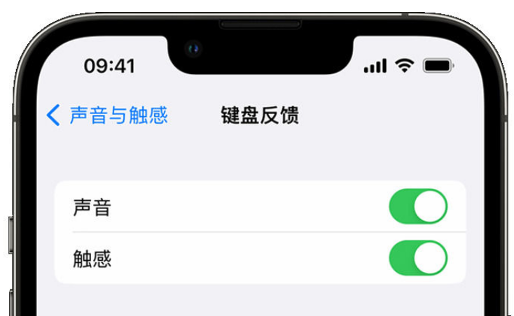 威远苹果手机维修分享iPhone 14触感键盘使用方法 