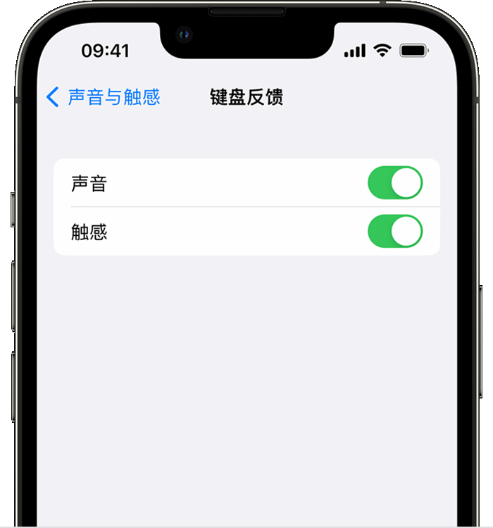 威远苹果14维修店分享如何在 iPhone 14 机型中使用触感键盘 