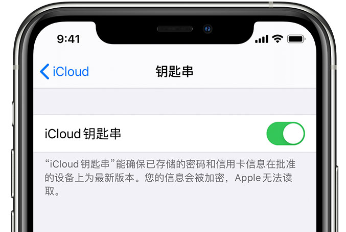 威远苹果手机维修分享在 iPhone 上开启 iCloud 钥匙串之后会储存哪些信息 