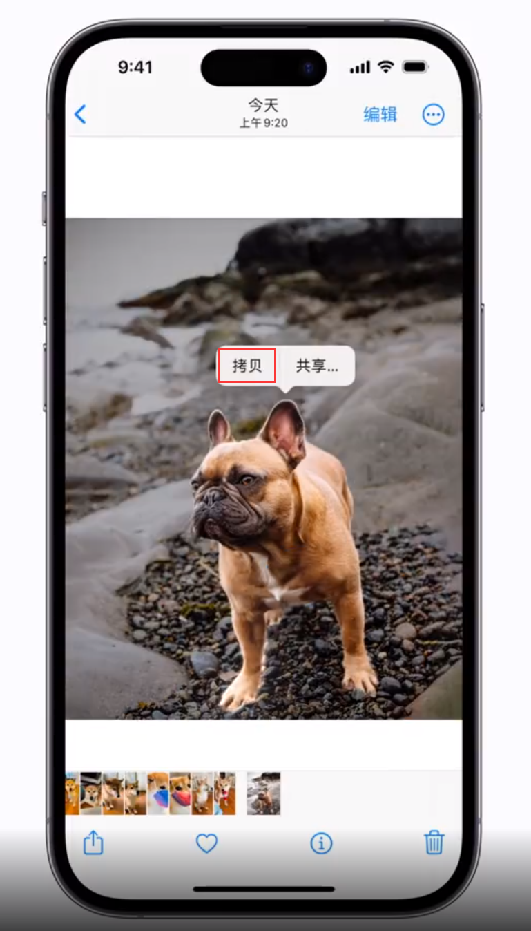 威远苹果手机维修分享 iOS 16 自带一键抠图功能 