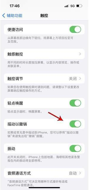 威远苹果手机维修分享iPhone手机如何设置摇一摇删除文字 