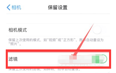 威远苹果13维修分享iPhone13拍照有绿点是怎么回事 