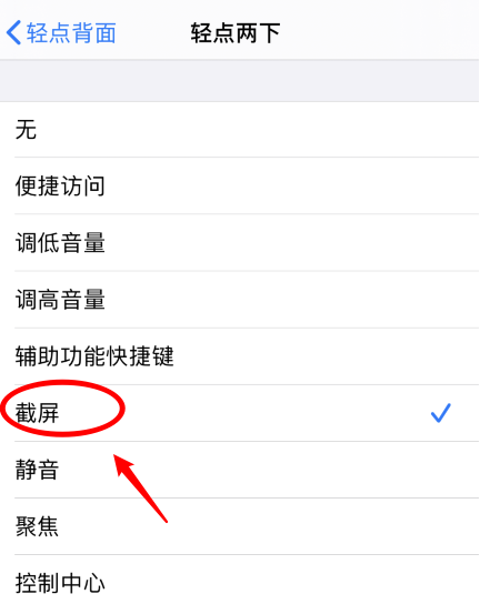 威远苹果手机维修分享iPhone12如何启用双击截屏 