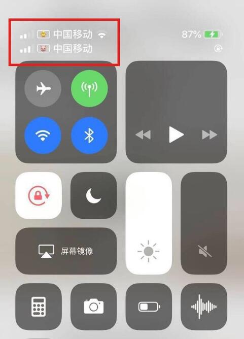 威远苹果手机维修分享为 iPhone 12 双卡设置标签 
