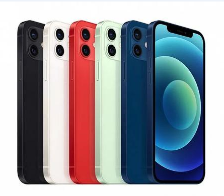 威远苹果维修点分享iPhone 12 Pro Max黑屏冷门故障解读 
